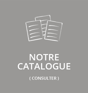 Thisis Formation Conseil et Coaching spécialisé Public en situation de Handicap à Avignon Vaucluse - Notre catalogue